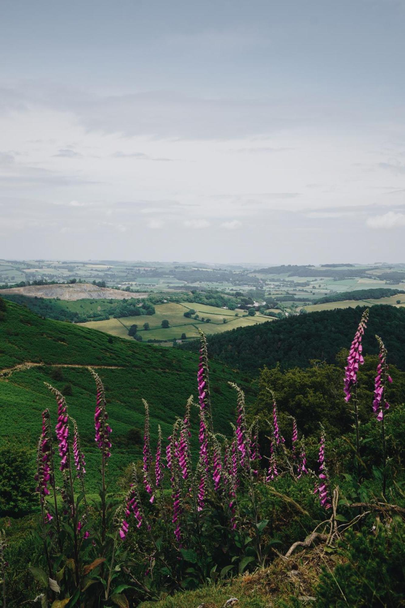 Two Unique Cabins Wrapped In Beautiful Welsh Scenery Presteigne Exterior foto